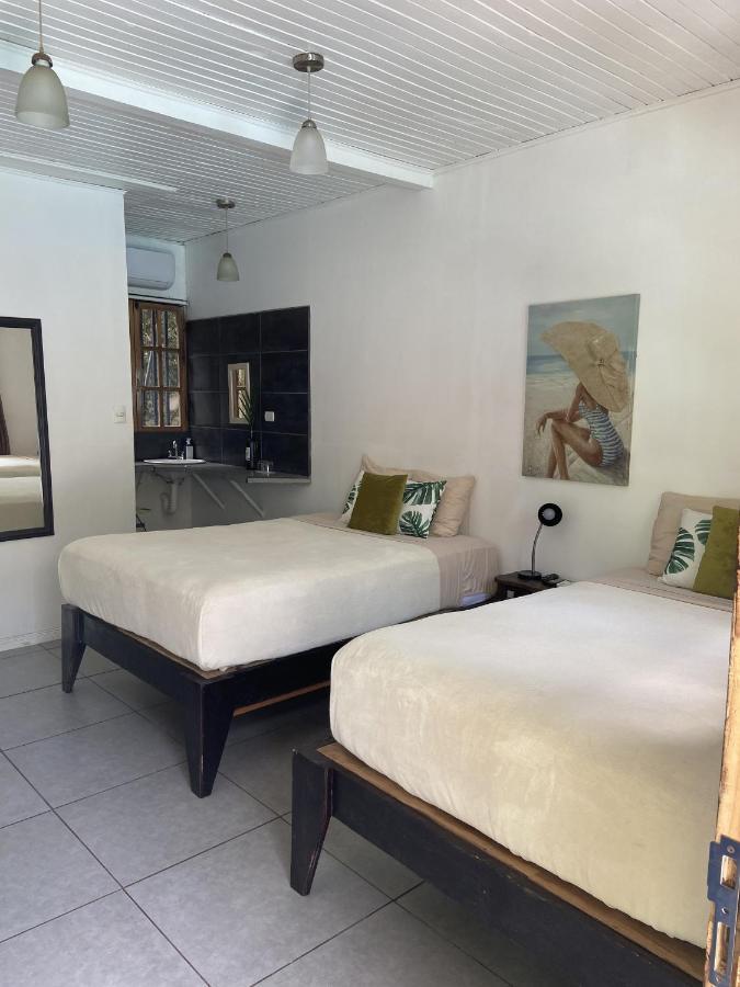 Lizard King Hotel&Suites Puerto Viejo de Talamanca Exterior foto