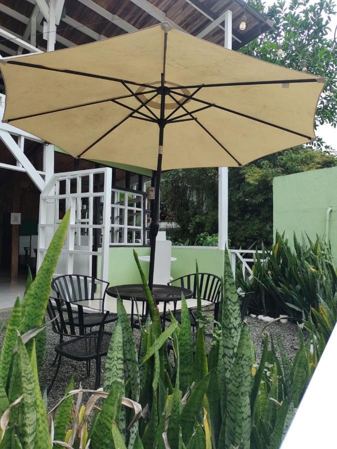 Lizard King Hotel&Suites Puerto Viejo de Talamanca Exterior foto