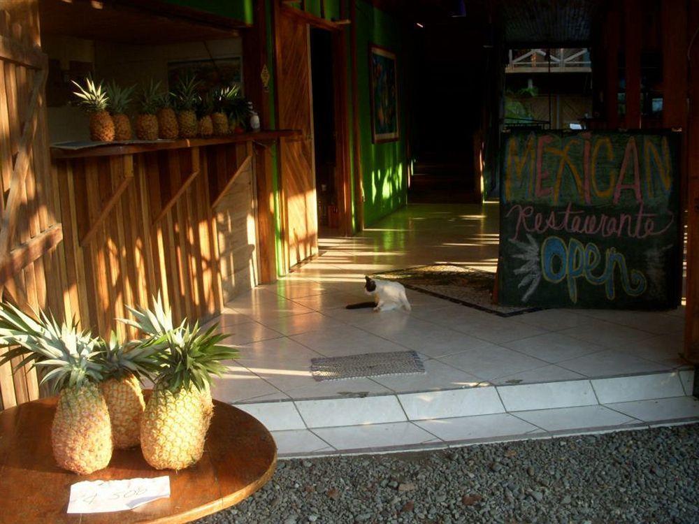 Lizard King Hotel&Suites Puerto Viejo de Talamanca Exterior foto